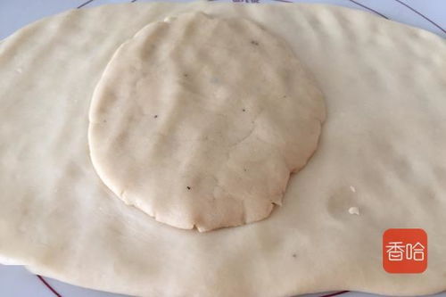 自己在家做的紅豆沙餡餅,外脆內軟,家人隔三岔五就要吃