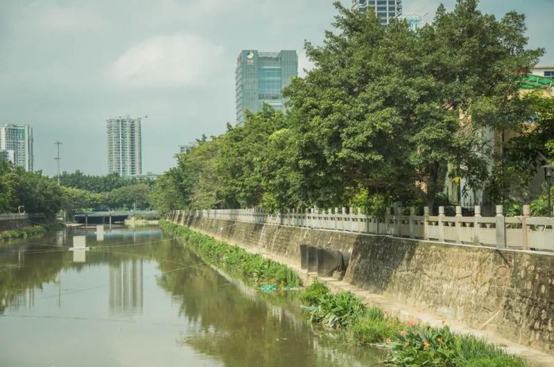 寶安水經注&middot;新安 | 堤岸拂綠、花紅臨水,河流讓城市更靈動
