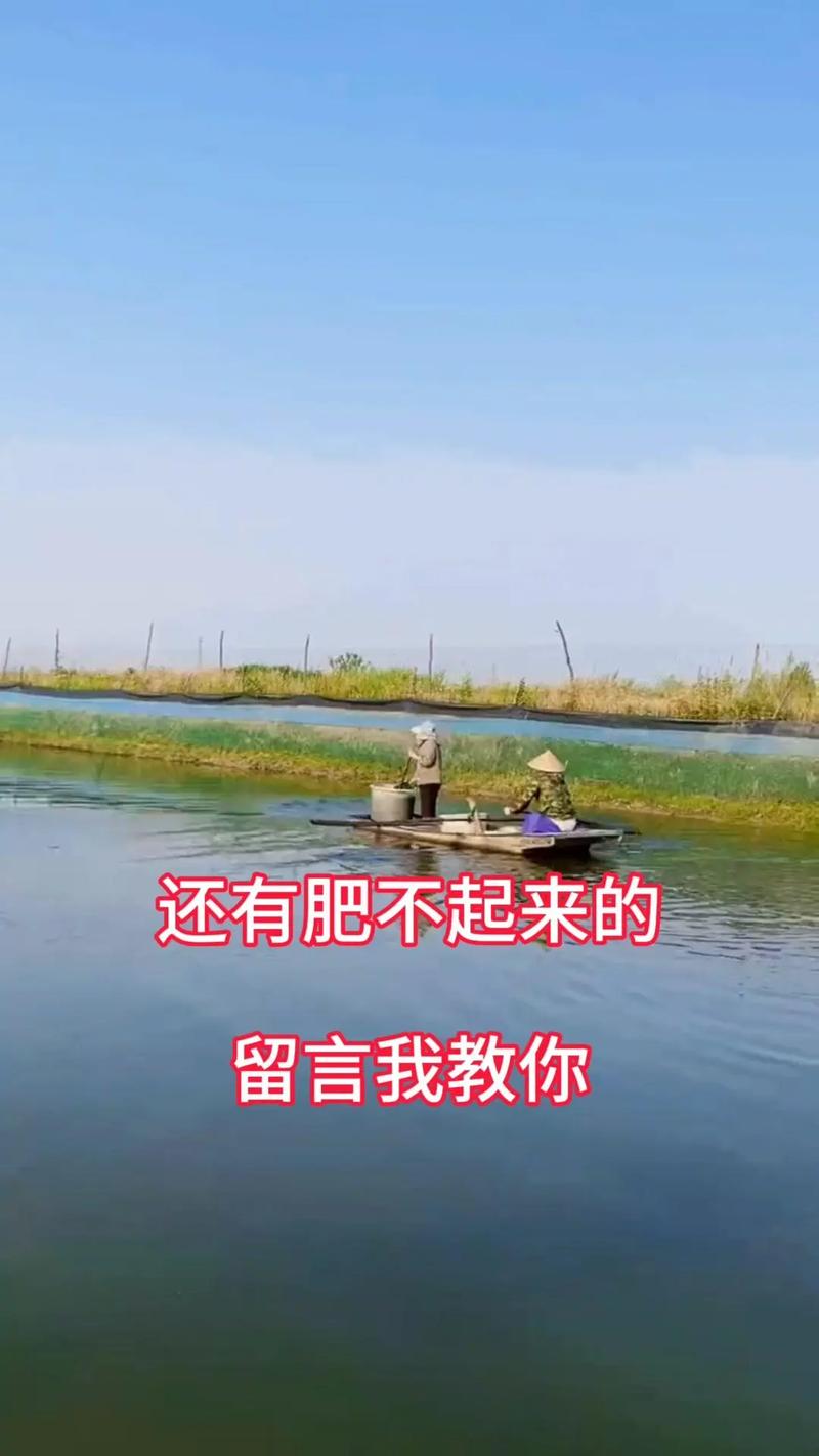 肥水小口訣,水產養殖輕松搞定.